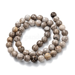 Natural Silver Leaf Jasper Beads Strands&nbsp;G-E444-35A-8mm