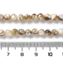 天然淡水シェルビーズ連売り  ラウンド  5mm  穴：0.7mm  約81個/連  15.31''（38.9センチメートル）&nbsp;X-SSHEL-B002-15