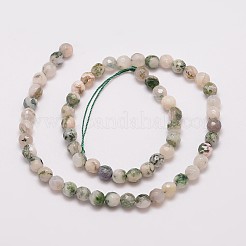 Natural Tree Agate Bead Strands&nbsp;X-G-G882-6mm-E02