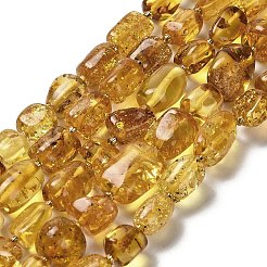 Natural Amber Beads Strands&nbsp;G-L095-F01-01