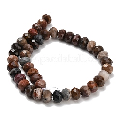 天然石ペトリファイドウッドビーズ連売り  ロンデル  多面カット  11~12x8~8.5mm  穴：1.6mm  約47~48個/連  15.24~15.75インチ（38.7~40cm）&nbsp;G-C259-A06-8x12mm-01