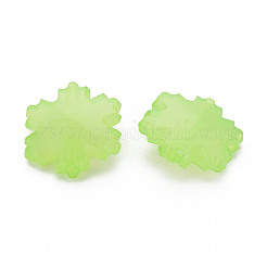 Imitation Jelly Acrylic Beads&nbsp;LS-MACR-S373-92-E06