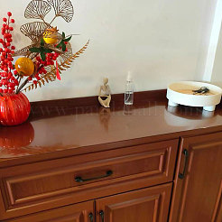 PVC Table Mats&nbsp;AJEW-WH0410-401