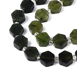 Natural Canadian Jade Beads Strands&nbsp;G-P534-A18-02