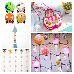 Natural Mixed Shell Beads&nbsp;SSHEL-PH0002-53