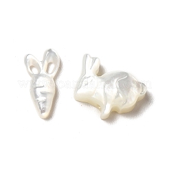 Natural Freshwater Shell Beads Sets&nbsp;BSHE-E026-10