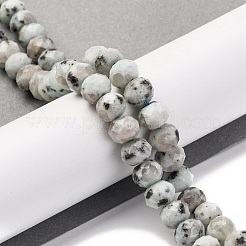 Natural Sesame Jasper Beads Strands&nbsp;G-K380-A08-01
