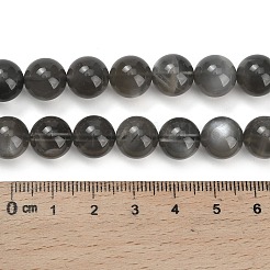 Natural Black Moonstone Beads Strands&nbsp;G-L631-A05-10mm