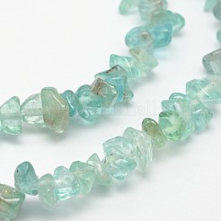 チップの天然アパタイトビーズ連売り  3~8x3~12x3~5mm  穴：1mm  約32インチ&nbsp;X-G-N0164-44