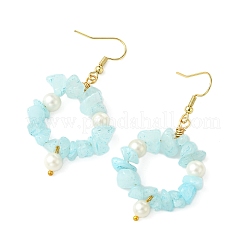 Natural Gemstone Beaded Dangle Earrings&nbsp;EJEW-JE07215