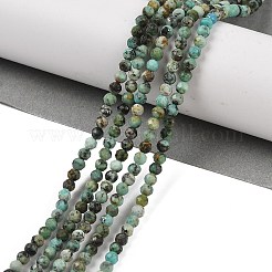 Natural African Turquoise(Jasper) Beads Strands&nbsp;X-G-P472-01