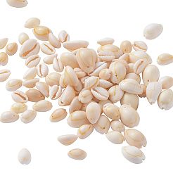 Natural Cowrie Shell Beads&nbsp;BSHE-CJ0002-01