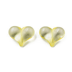 Transparent Acrylic Beads&nbsp;MACR-S373-70-B03