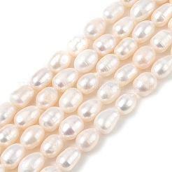 Natural Cultured Freshwater Pearl Beads Strands&nbsp;PEAR-I007-01C-02A