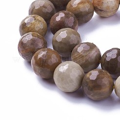 天然石ペトリファイドウッドビーズ連売り  多面カット  ラウンド  10mm  穴：1.2mm  約39個/連  15.15インチ〜15.7インチ（38.5~40cm）&nbsp;G-P430-16-D