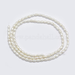 天然養殖淡水パールビーズ連売り  オーバル  ベージュ  3.5~6x3~4.5mm  穴：0.8mm  約68~70個/連  13.78~14.17インチ（35~36cm）&nbsp;X1-PEAR-F007-83