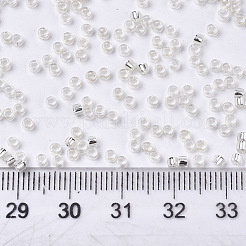 ガラスシードビーズ  機械刺繍に適合  銀並ぶ  ラウンド  銀  2.5x1.5mm  穴：1mm  約20000個/袋&nbsp;SEED-S042-04A-06