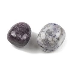 Natural Lepidolite Beads&nbsp;G-G348-01B-42