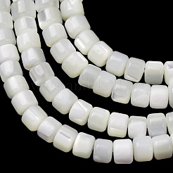 天然トロチッドシェル/トロカスシェルビーズ連売り  ディスク  ヒシビーズ  ホワイト  4x3mm  穴：0.8mm  約57個/連  7.09''（18センチメートル）&nbsp;SH-CBA2978-18A