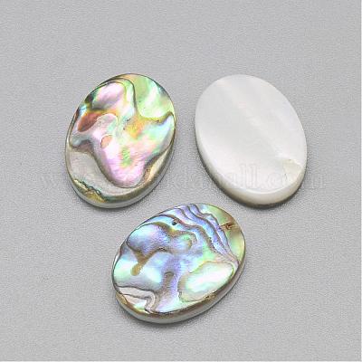 パウアシェルカボション  オーバル  カラフル  16x12x3mm&nbsp;SSHEL-R042-20-1