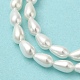 Electroplate Shell Pearl Beads Strands&nbsp;BSHE-G010-4x6mm-01-4