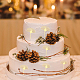Acrylic Mirror Cake Toppers&nbsp;FIND-WH0152-207-5