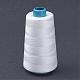 Polyester Thread&nbsp;OCOR-WH0001-18-1