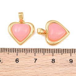 Brass & Resin Pendants&nbsp;KK-CBABC34-01G-01