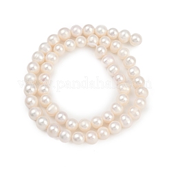 Natural Cultured Freshwater Pearl Beads Strands&nbsp;PEAR-I007-07X-03A