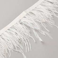 Fashion Ostrich Feather Trimming&nbsp;DIY-WH20012-08B