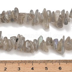 天然石ラブラドライトビーズ連売り  チップ  8~18.5x6.5~10x1.5~7mm  穴：0.7~1mm  約96~130個/連  15.94''（40.5センチメートル）&nbsp;GG-CBAC61B-C06-01