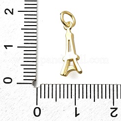 Brass Micro Pave Cubic Zirconia Charms&nbsp;X-KK-P295-45G