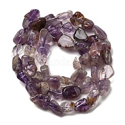 Natural Purple Phantom Quartz Purple Lodolite Quartz Beads Strands&nbsp;G-E483-69