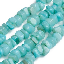 Shell Beads Strands&nbsp;BSHE-G026-02