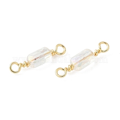 Electroplate Glass Faceted Rectangle Connector Charms&nbsp;KK-C097-05G-03