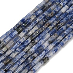 Natural Blue Spot Jasper Beads Strands&nbsp;G-P600-B05-01