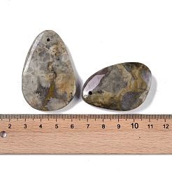 天然化石ペンダント  46~53x31~48x8mm  穴：2.1mm&nbsp;G-Q164-16