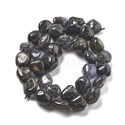 Natural Iolite Beads Strands&nbsp;G-C179-F06-01