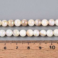 Abカラー天然淡水シェルビーズ連売り  ラウンド  貝殻色  5.5~6mm  穴：0.5mm  約64個/連  15.16~15.55''（38.5~39.5センチメートル）&nbsp;BSHE-T014-40A