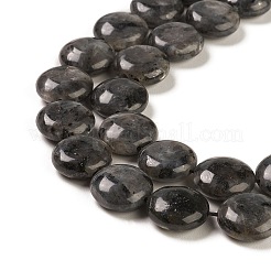 天然ラルビカイトビーズ連売り  フラットラウンド  ブラック  14.6~15.5x6~6.5mm  穴：0.8mm  約27個/連  15.59''~15.87''（39.6~40.3センチメートル）&nbsp;G-M403-C09-02