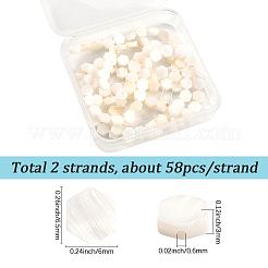 2 Strands Natural Freshwater Shell Beads Strands&nbsp;SSHEL-SC0001-36A