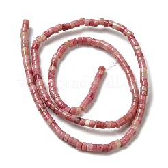 Natural Rhodonite Beads Strands&nbsp;G-E612-A03