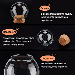 6 Sets Glass Dome Cover&nbsp;DJEW-BC0001-10