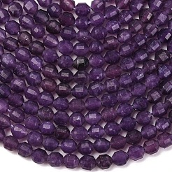 Natural Lepidolite/Purple Mica Stone Beads Strands&nbsp;G-A260-A04-01