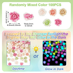 100Pcs Luminous Resin Decoden Cabochons&nbsp;RESI-TA0005-30