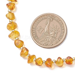 Natural Amber Chip Beaded Necklaces for Women&nbsp;NJEW-JN05862