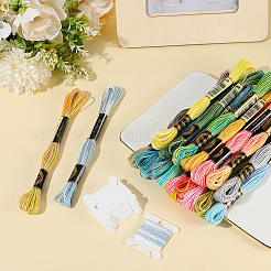6-Ply Polyester Embroidery Floss&nbsp;OCOR-CY0002-03C-09