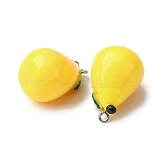 3D Resin Pendants&nbsp;LS-FIND-Z084-01P