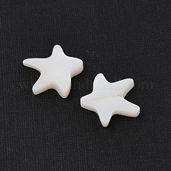 Natural Freshwater Shell Beads&nbsp;SHER-R100-03A