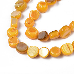 Natural Trochid Shell/Trochus Shell Beads Strands&nbsp;SHEL-S258-083-B10